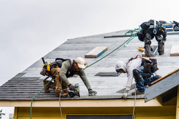 Professional Roofing technician working in Mongo, IN